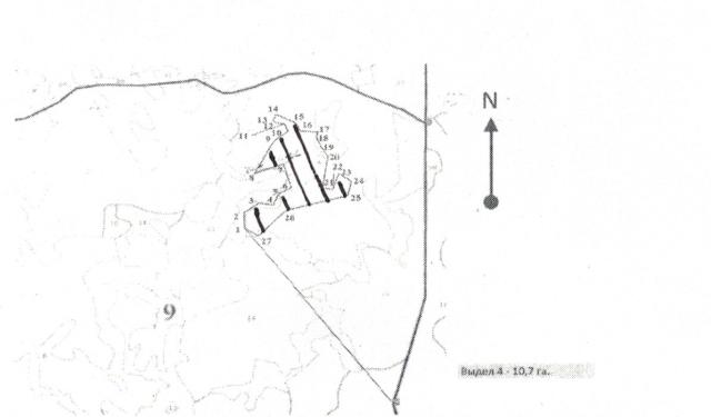Лот 4035107
